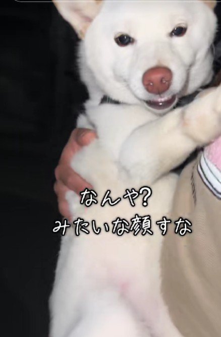 パパ大好きなロッティちゃんでした！