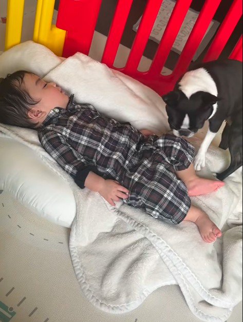 「やっぱり戻ろう」