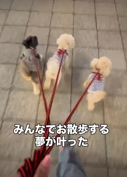 みんなのお気に入りの時間