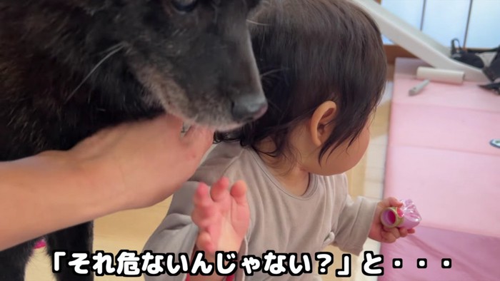 おもちゃをチェックして…