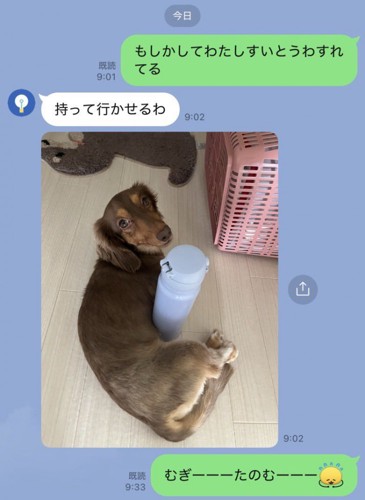 Mダックス