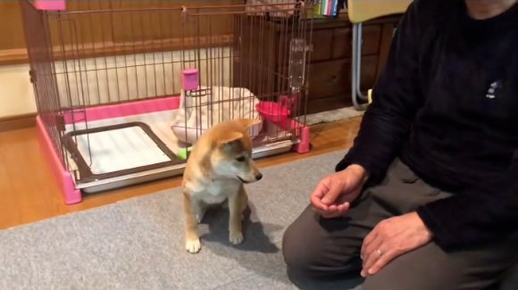 お父さんとゼロ距離のみなみちゃん