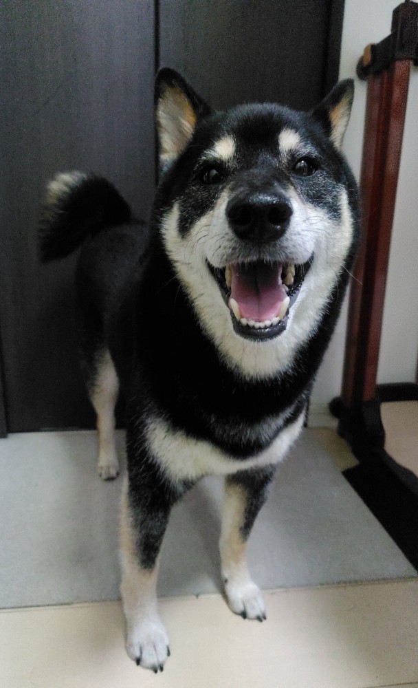 笑顔