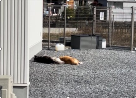 そっくり