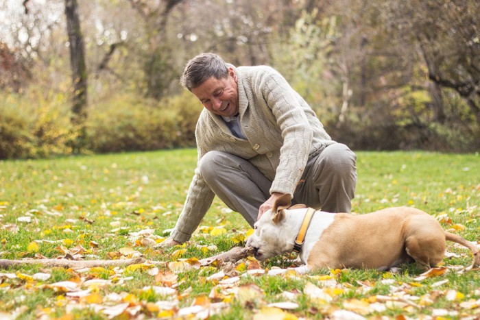 犬と遊ぶ男性