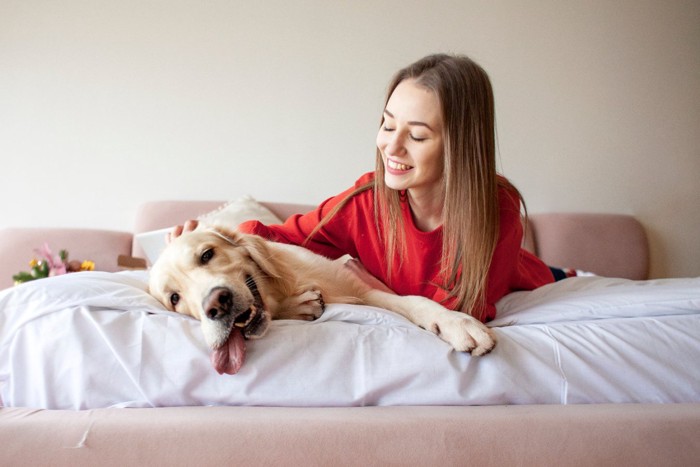 ベッドでくつろぐ犬と女性