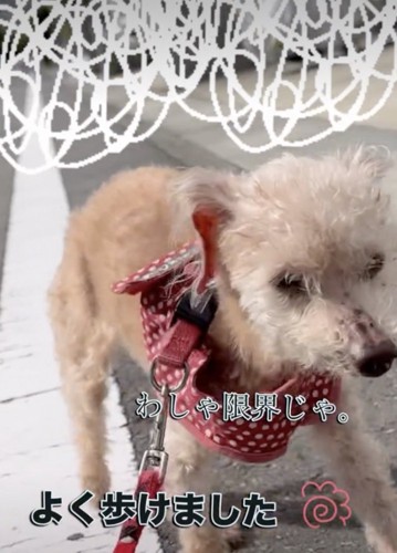 おつかれさま!