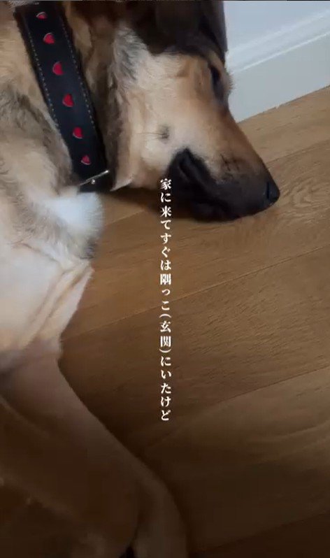 ちぃ君の変化