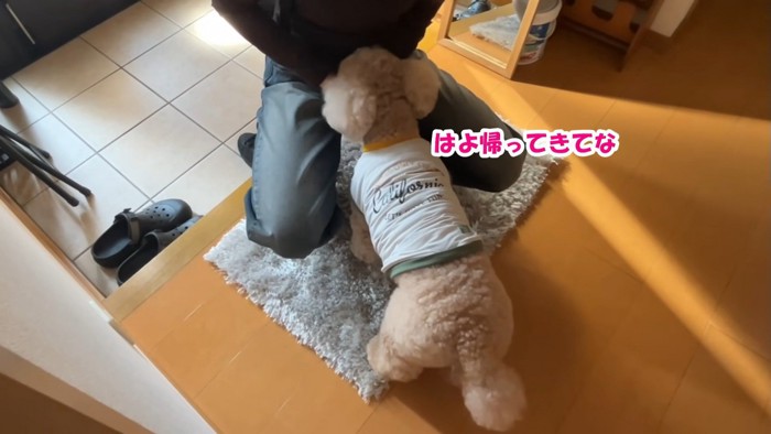お姉ちゃんをお見送り