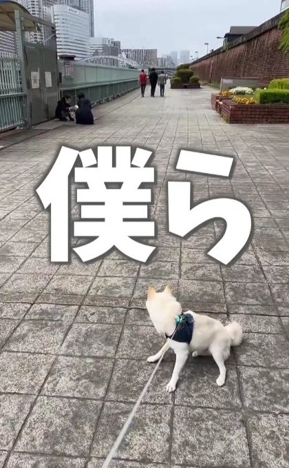 僕らは入れないのよ…