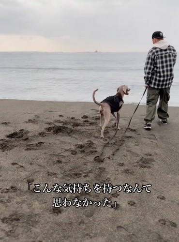 海辺を散歩