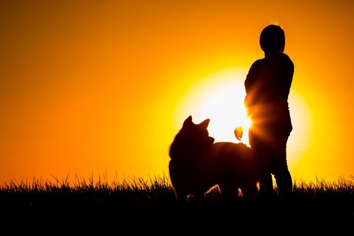 人と犬