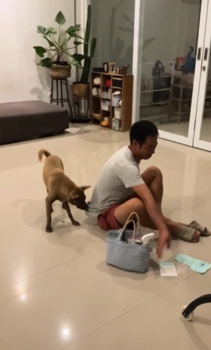 現在のあさちゃんは…