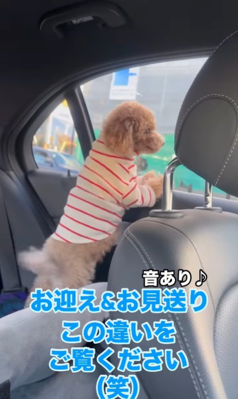 ノアくんのお迎え＆お見送り2