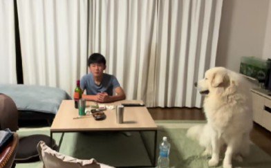 「そっちだよね…?」