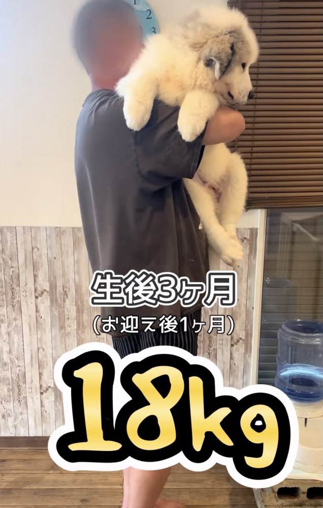 順調すぎる大成長！