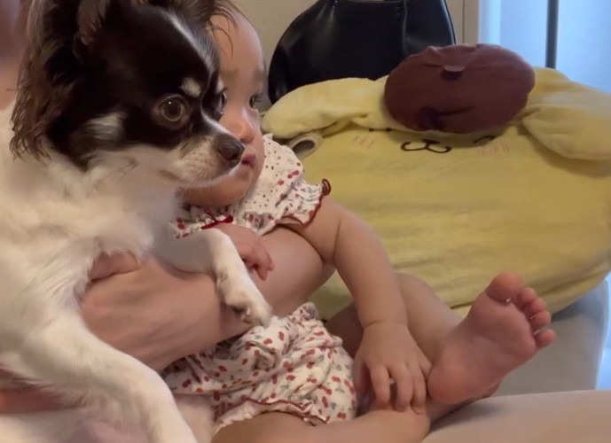 ママの膝の上に座っていたのは…