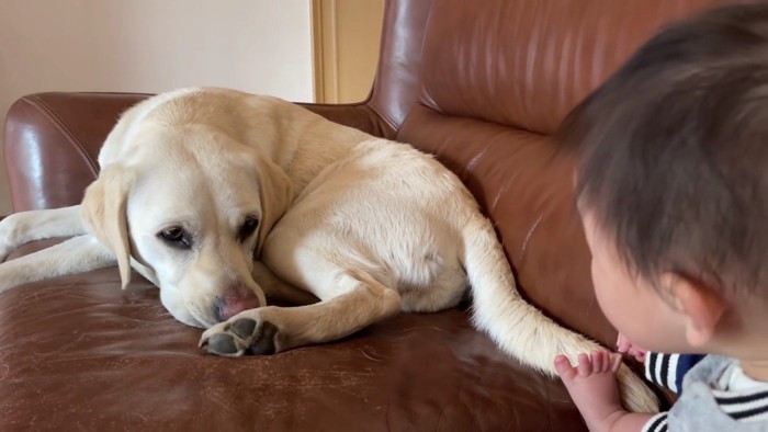 サンちゃんは恰好の遊び相手