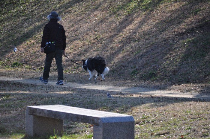 飼い主さんと散歩中