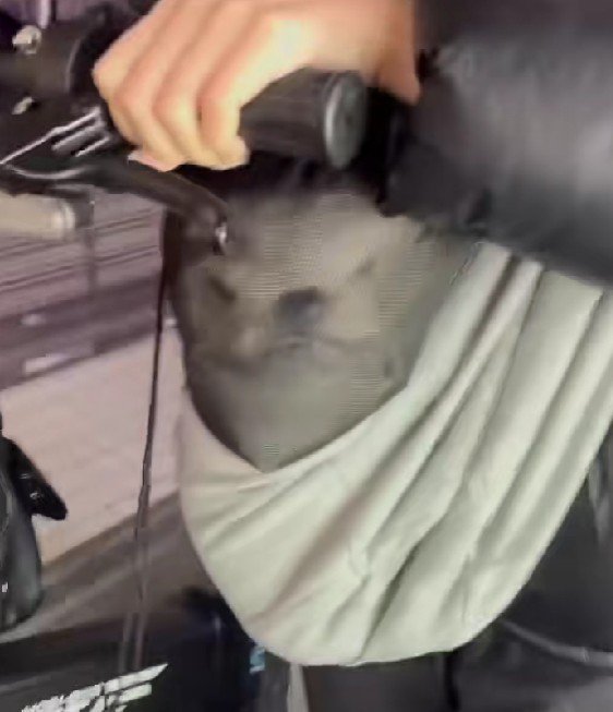 横に引き延ばされている…