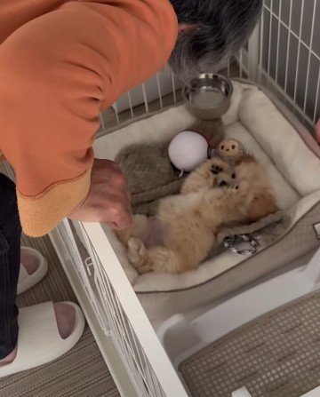 大反対した母がメロメロに♡