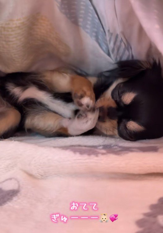 わなわなしてからの…