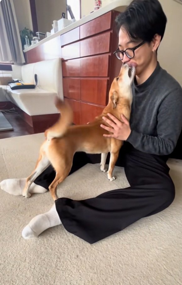 尻尾を振るごぅちゃん