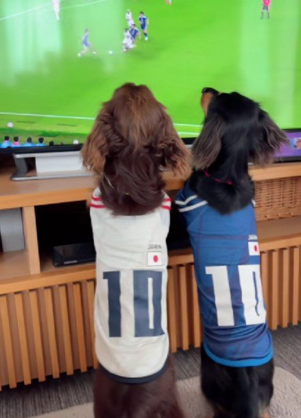 並んで試合を見つめていた