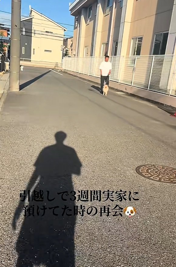 歩いてくるサニーくん