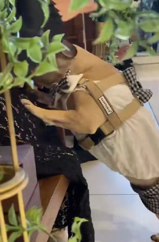 『来てくれてありがとう！！』