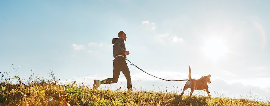 犬と一緒に走る男性