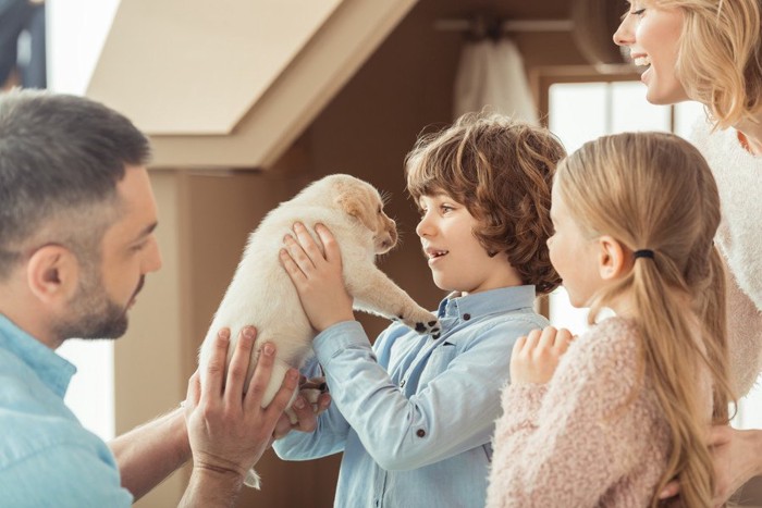 ラブラドールの子犬と家族