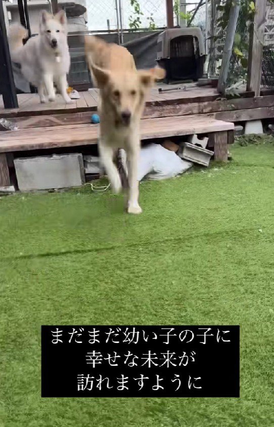 楽しそうな姿にほっこり