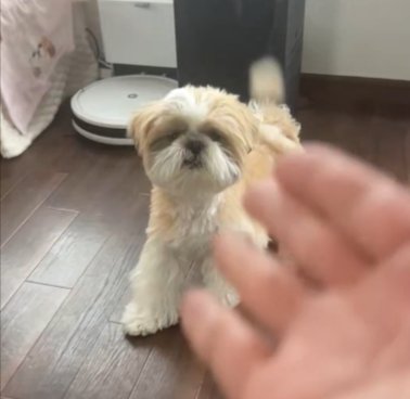 狙い