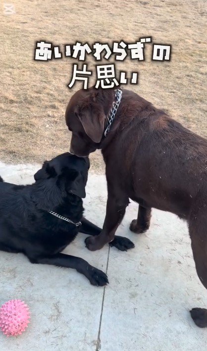 大好きなお友達