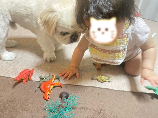 仲良し