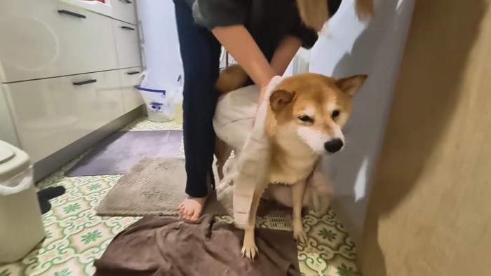 シャンプーをするスティーブくん9