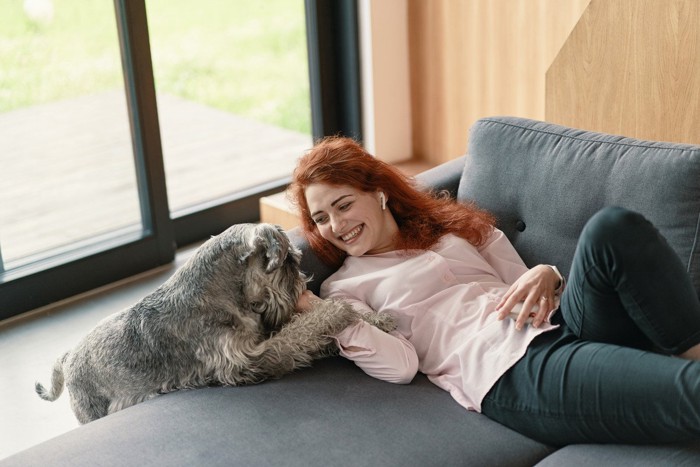 グレーの犬と女性