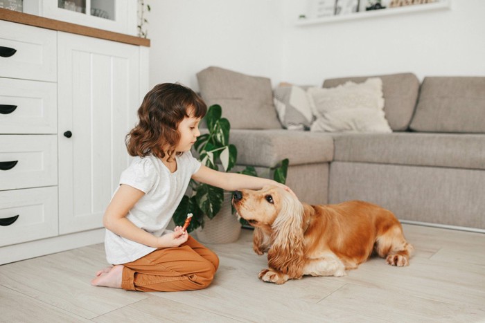 少女に褒められる犬