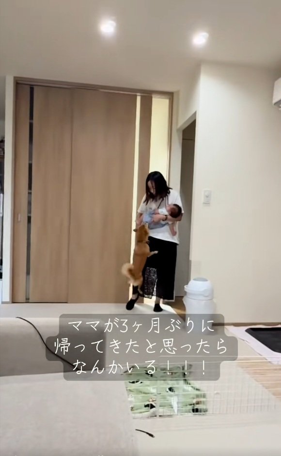 赤ちゃんに近づくまるくん