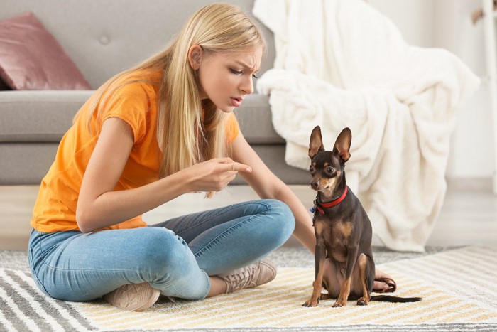 イライラする女性と怖がる犬