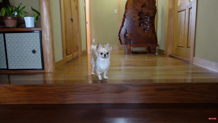 「置いて行かれちゃった…」