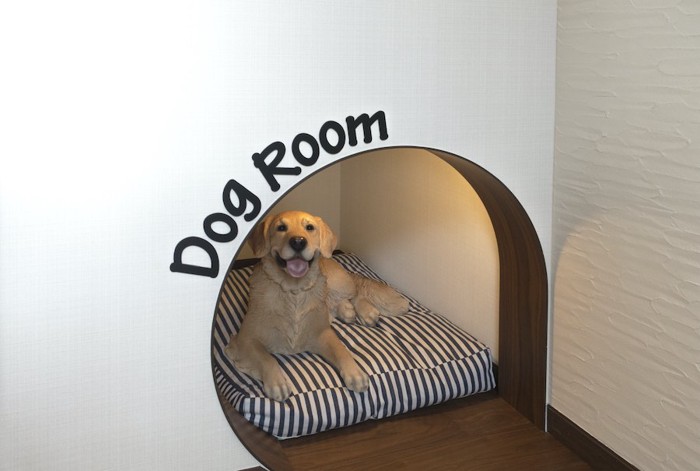 Dog Roomと書かれた部屋でくつろぐ犬