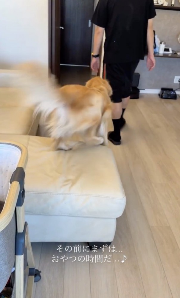 「おやつっ！！」
