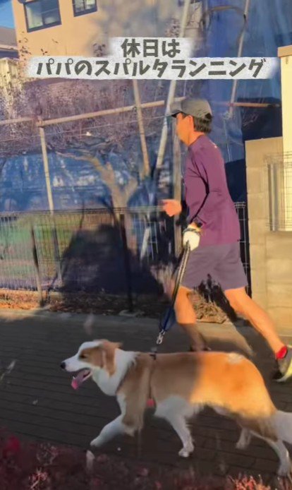 休日はランニング♪