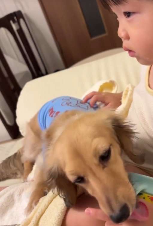 現在のサニーちゃんと赤ちゃん2