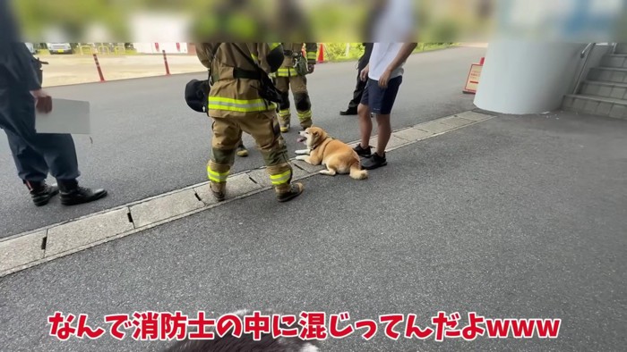 なぜか馴染んでいる…！