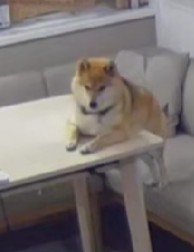 どんな感情なんだろう…