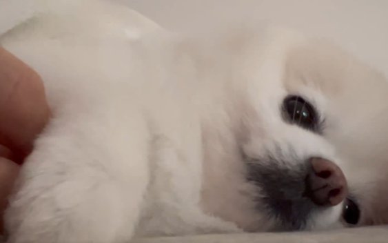 ハッ