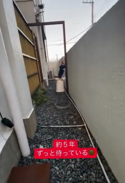 5年間待ち伏せするそらくん1